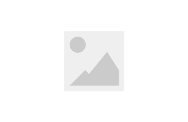 �������ĸ����Һã�2026 �Զ�����������ɸѡ��ɹ�ָ��